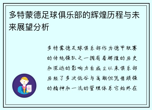 多特蒙德足球俱乐部的辉煌历程与未来展望分析
