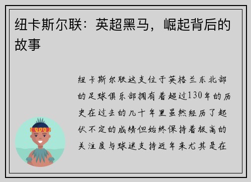 纽卡斯尔联：英超黑马，崛起背后的故事